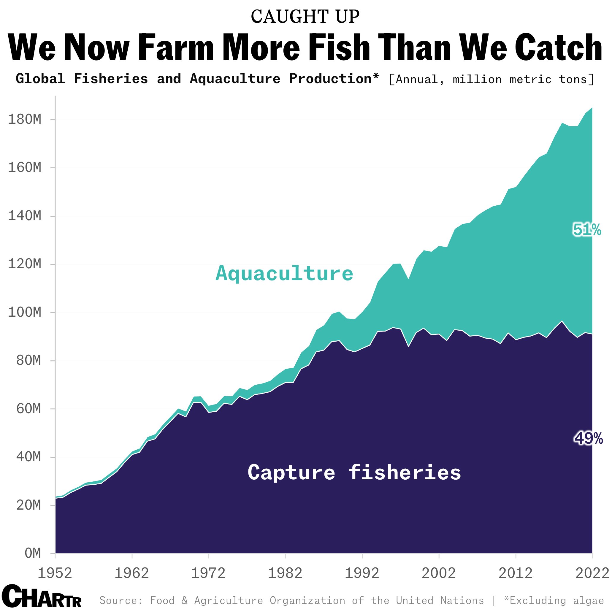 Fish SundayChartr Image 1
