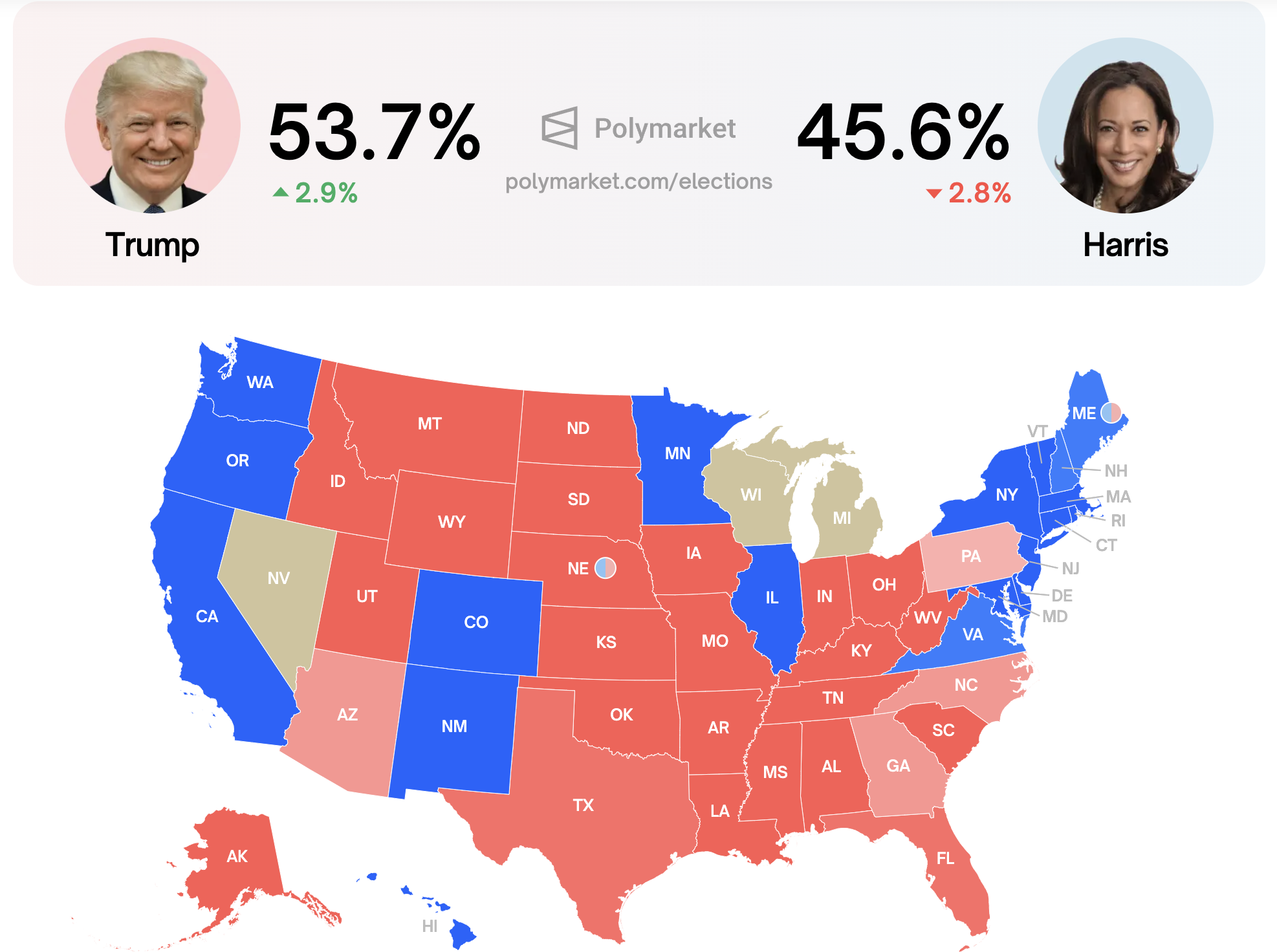 Polymarket Election Odds
