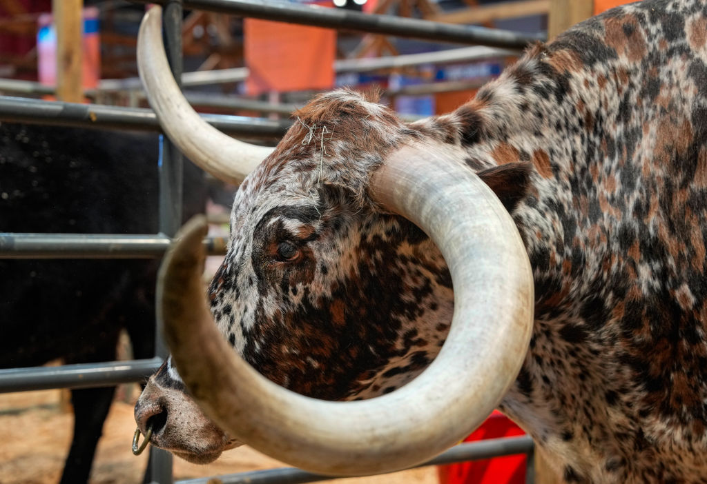 The S&P 500 topped 5300, a record high for US stocks thumbnail