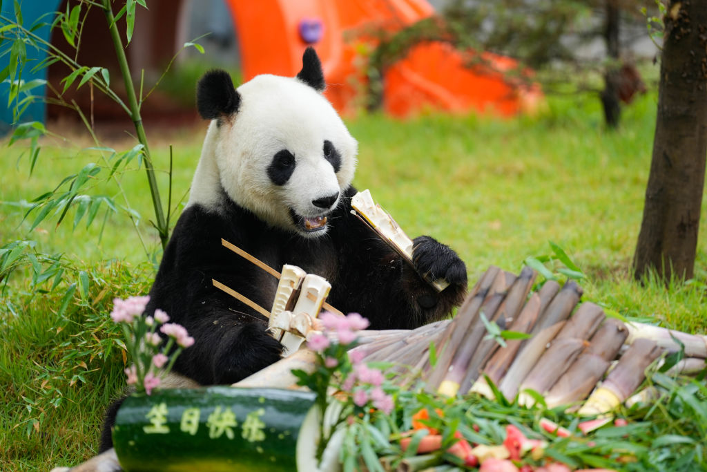 Tech tumult sends US stocks lower thumbnail