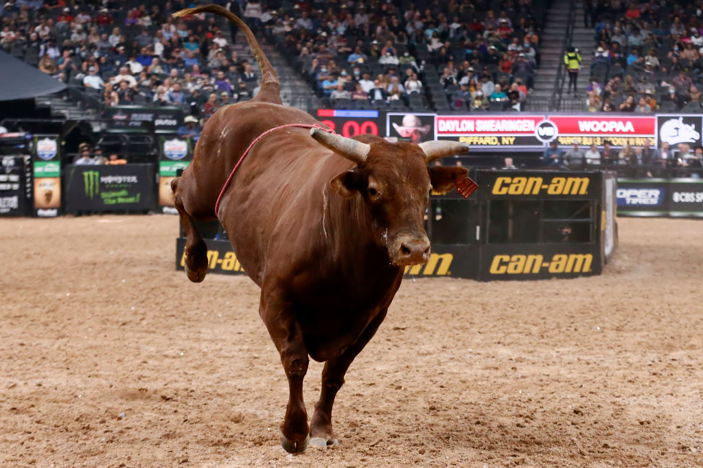 Tech rally, meme-stock magic power US stocks to the verge of record highs thumbnail