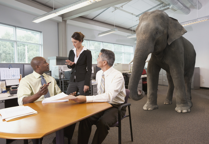 Addressing the meta-elephant in the room [John M Lund/Stone via Getty Images]