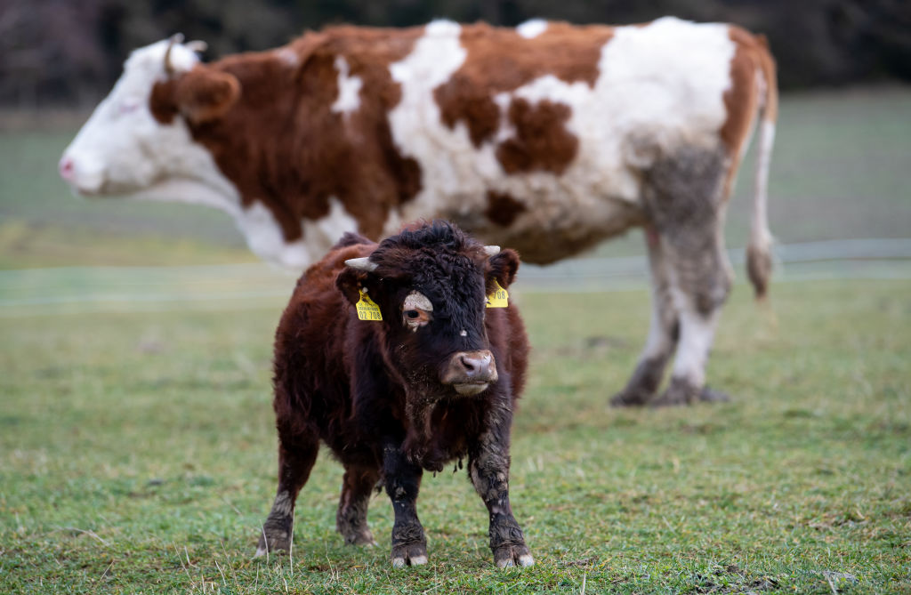 Stocks go nowhere as tech gains offset bank declines thumbnail