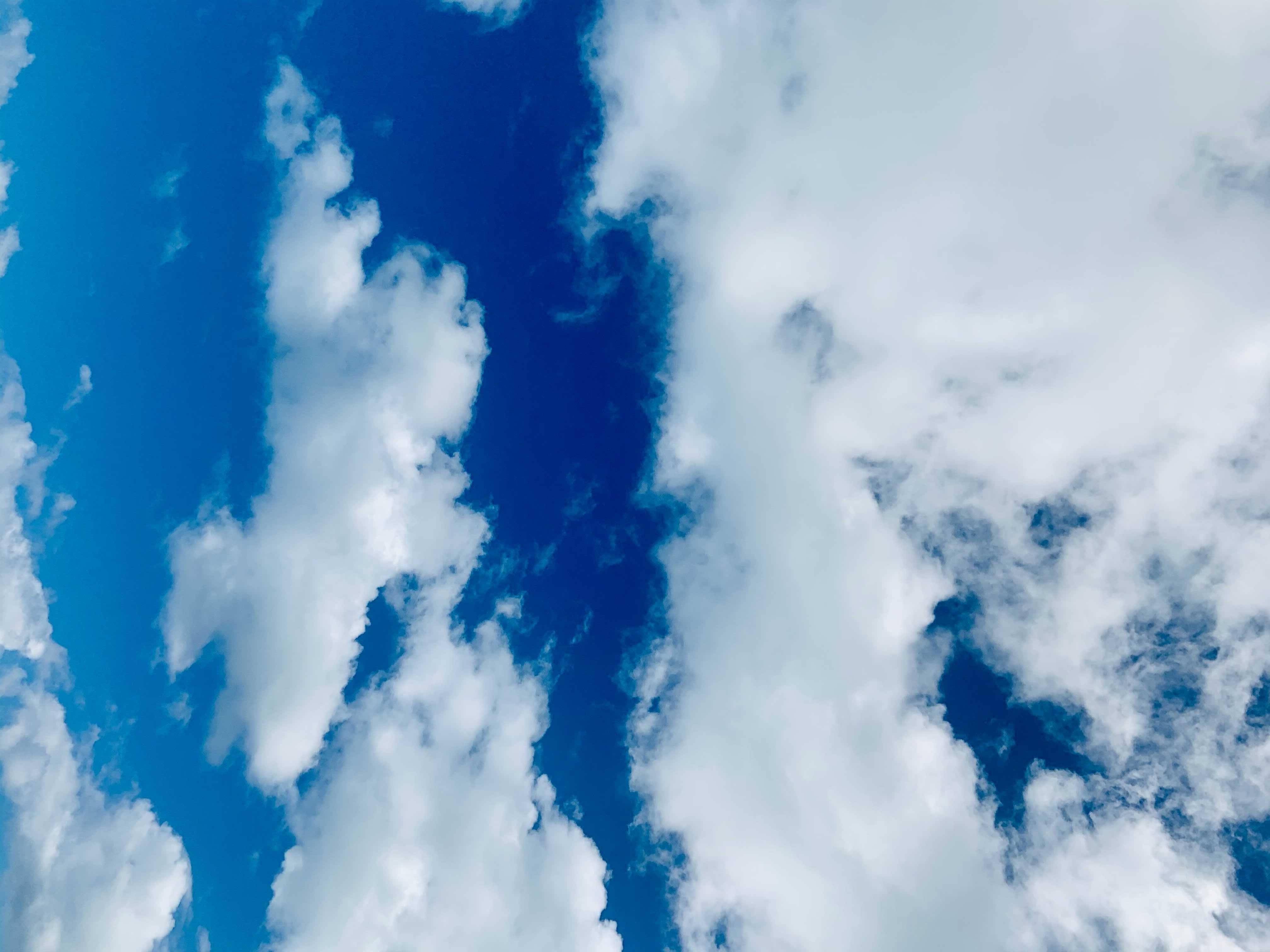 _Cloudy with a chance of $16B healthcare cloud_