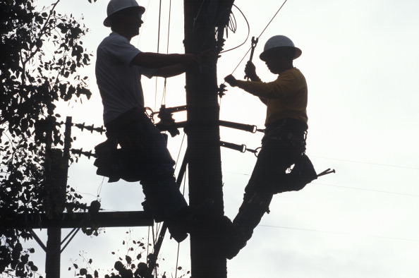 Tangled (Joe Sohm/Getty Images)