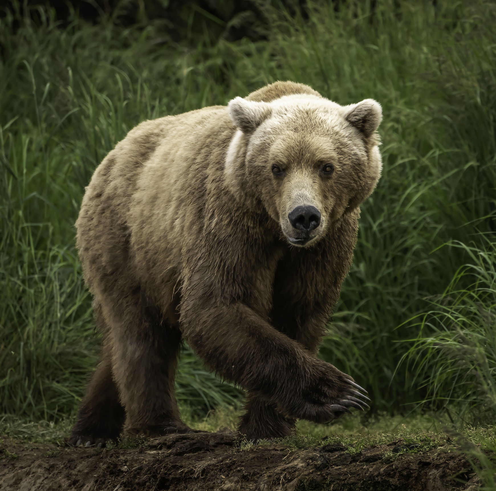 Rising bond yields sink US stocks thumbnail