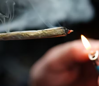 Canopy Growth Reports Third Quarter Fiscal Year 2025 Financial Results