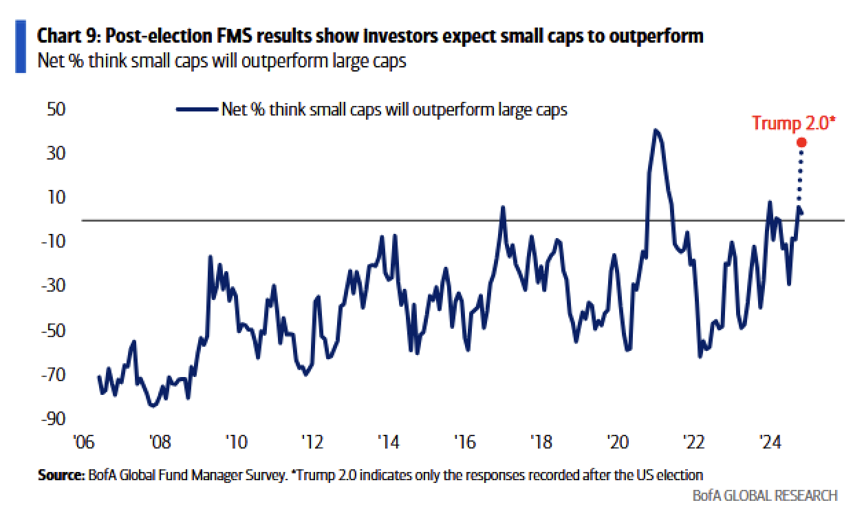 Small vs large BofA FMS Nov 24