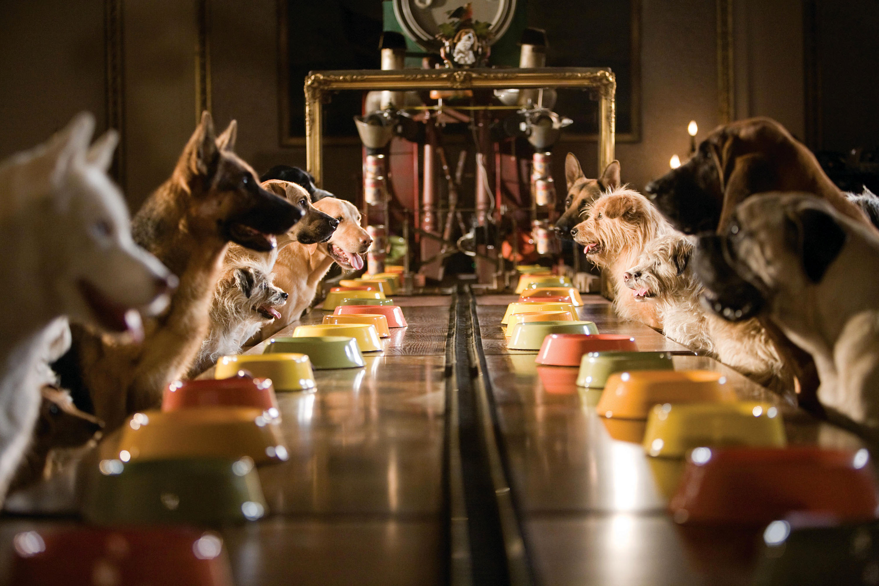 _Lemonade shareholder meeting_