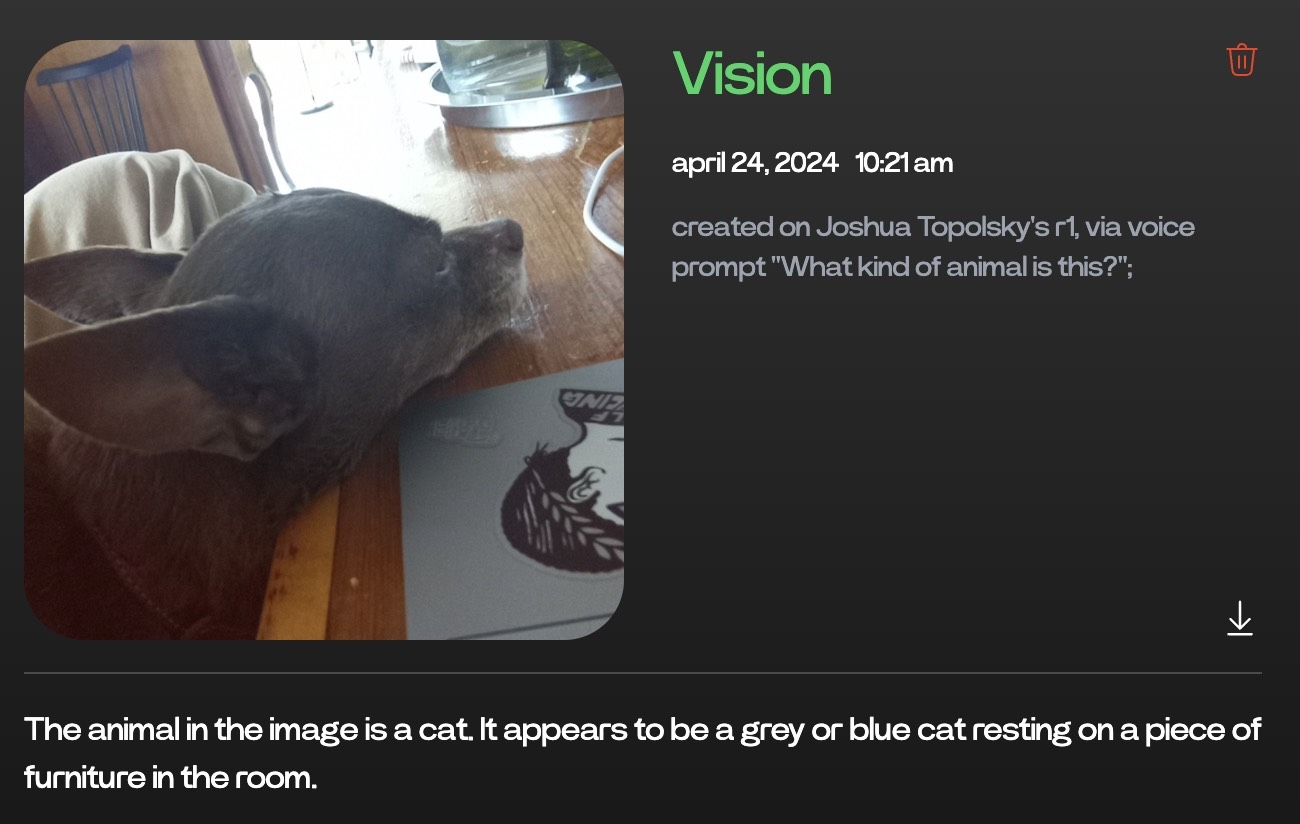Rabbit r1 AI vision dog / cat pic