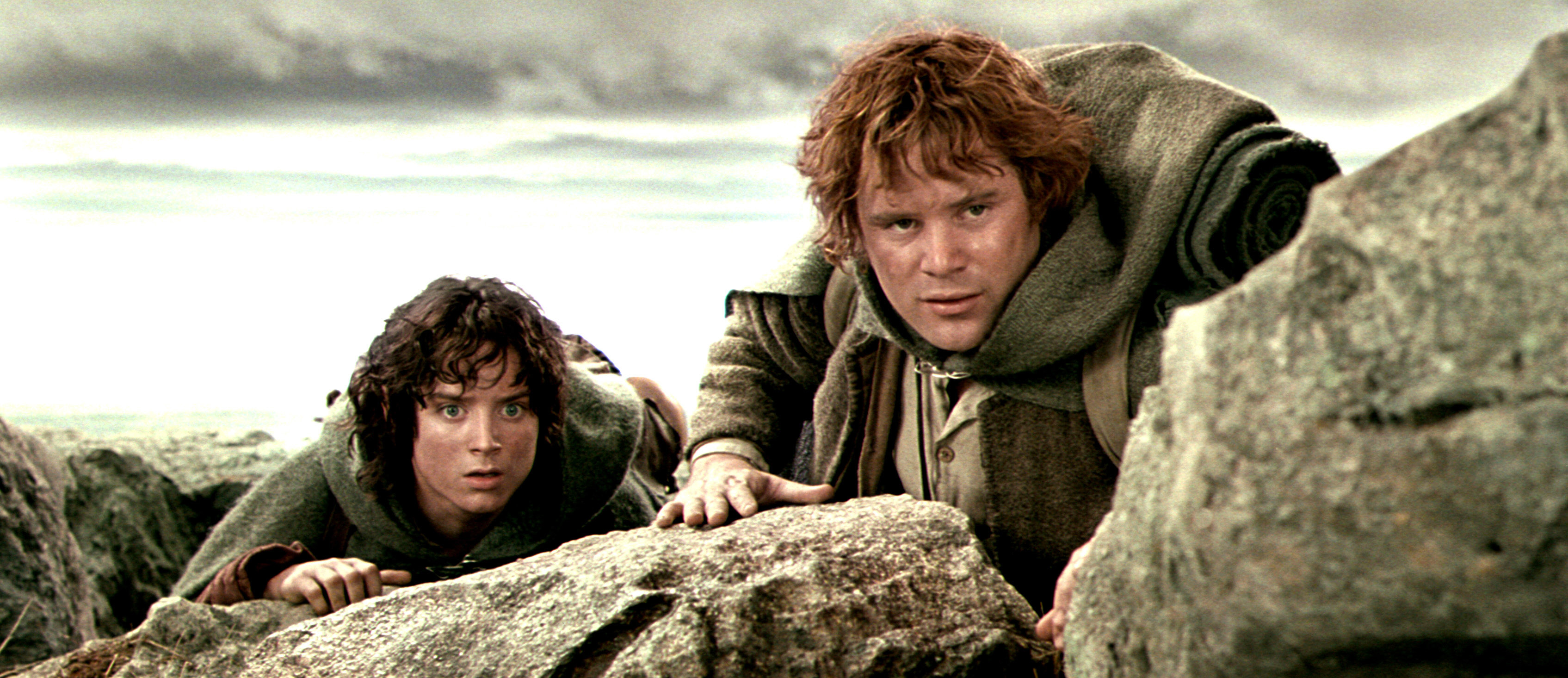 __"These Uber shares are all we have, Mr. Frodo"__