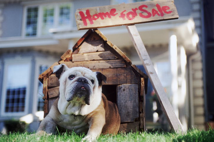 _The TikTok algo comes for real estate [JDC/ Stone via GettyImages]_