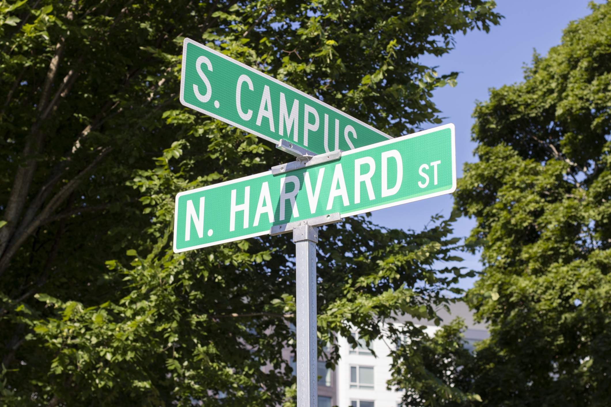 Harvard is mandating SATs again thumbnail