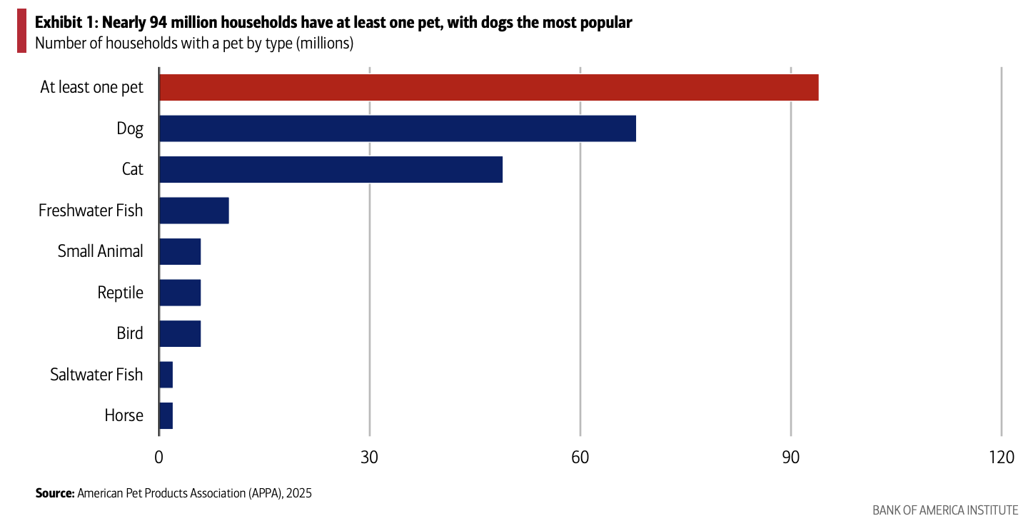 Pet ownership 2025