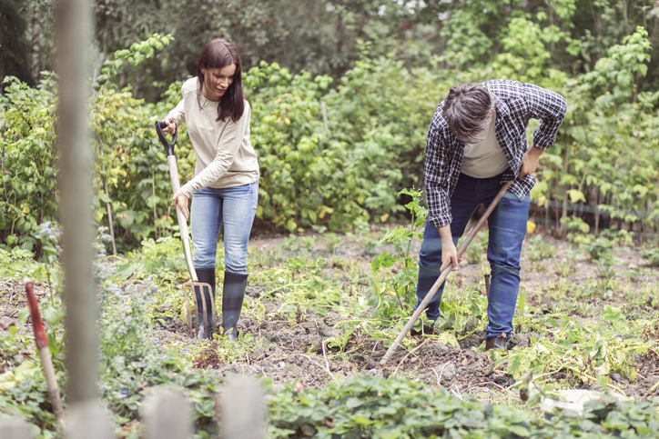 _Just planting the weeds [Maskot via GettyImages]_