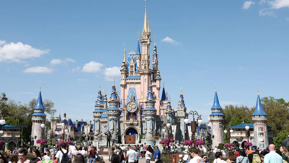 Disney World Castle