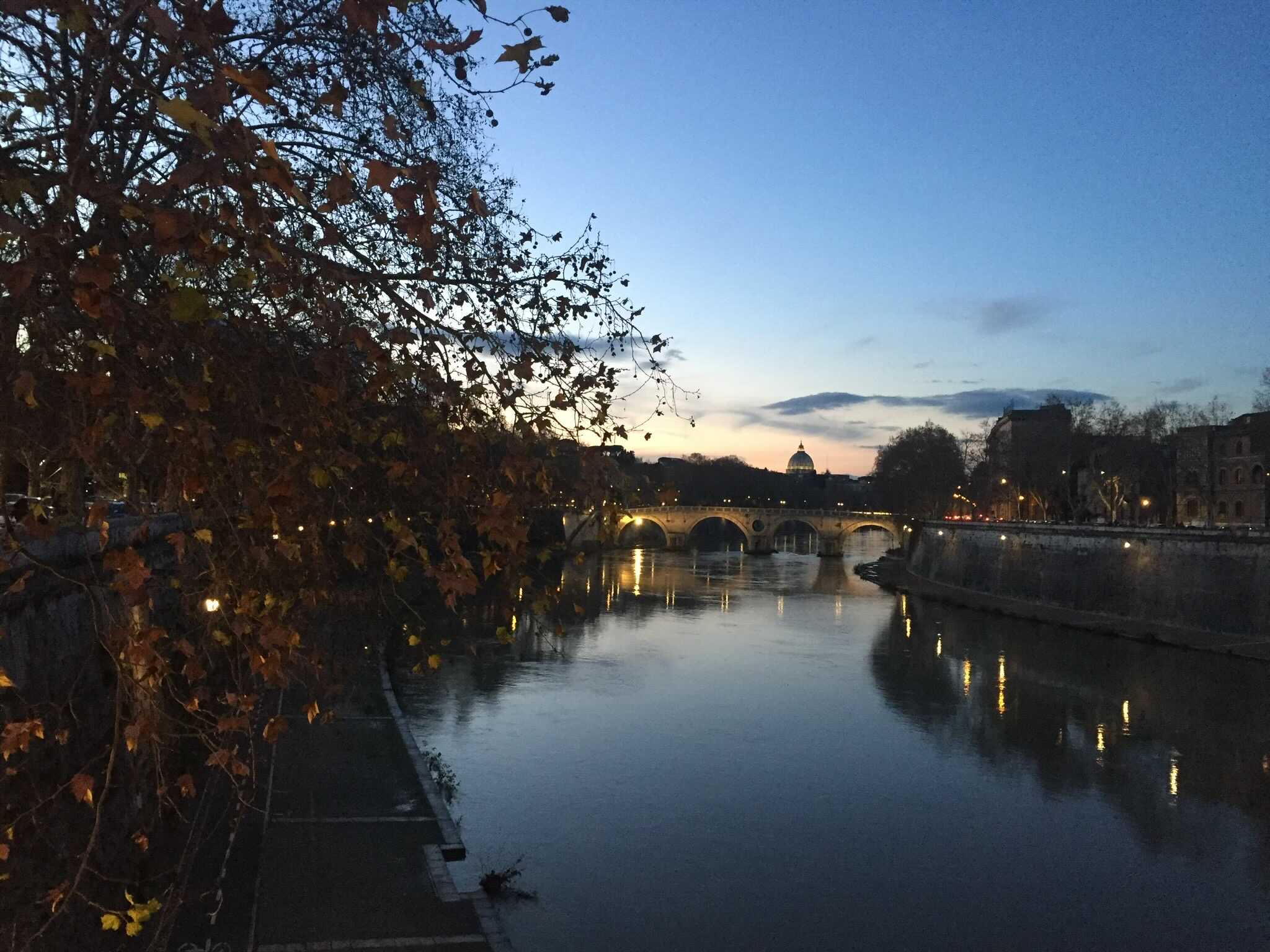 _The Rome meeting, brought to you by Zoom meeting_