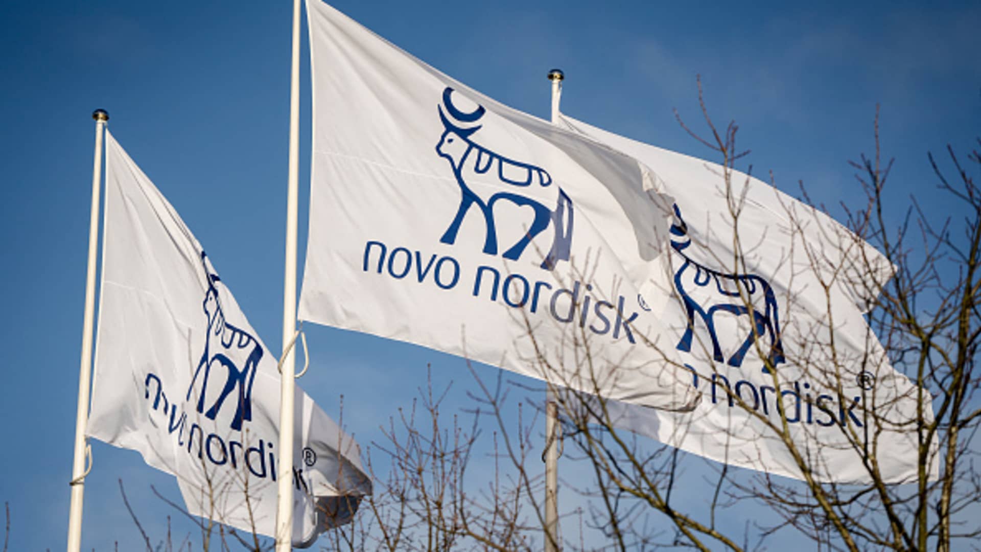 Novo Nordisk shares jump 5% as drugmaker sees copycat Wegovy sales easing in 2025